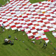 Illustration for article titled The Worlds Biggest Picnic Blanket Is Growing in the Swiss Countryside